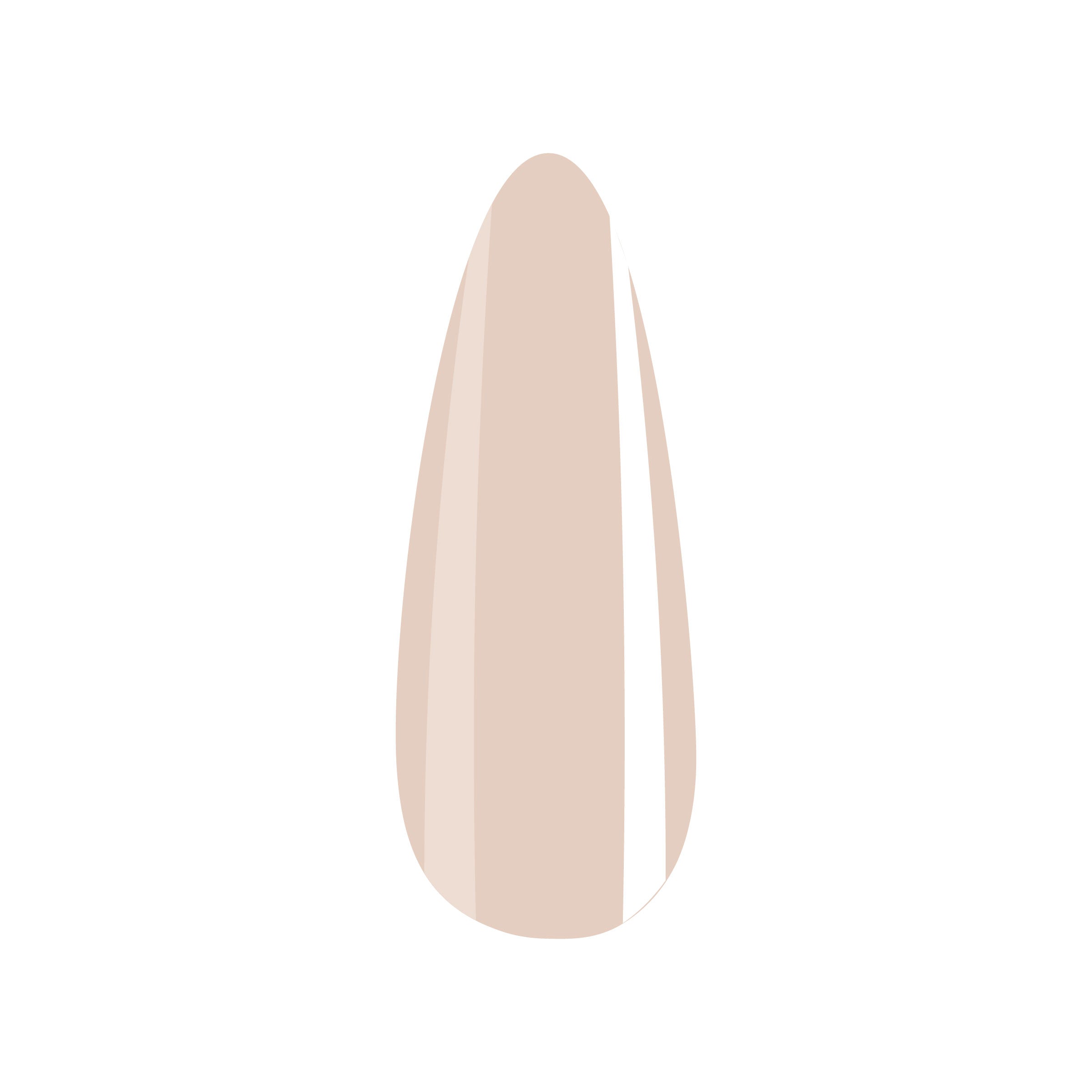 10 BLOOM BROWN - FORMULA GEL COLOR – THE NAIL LAB